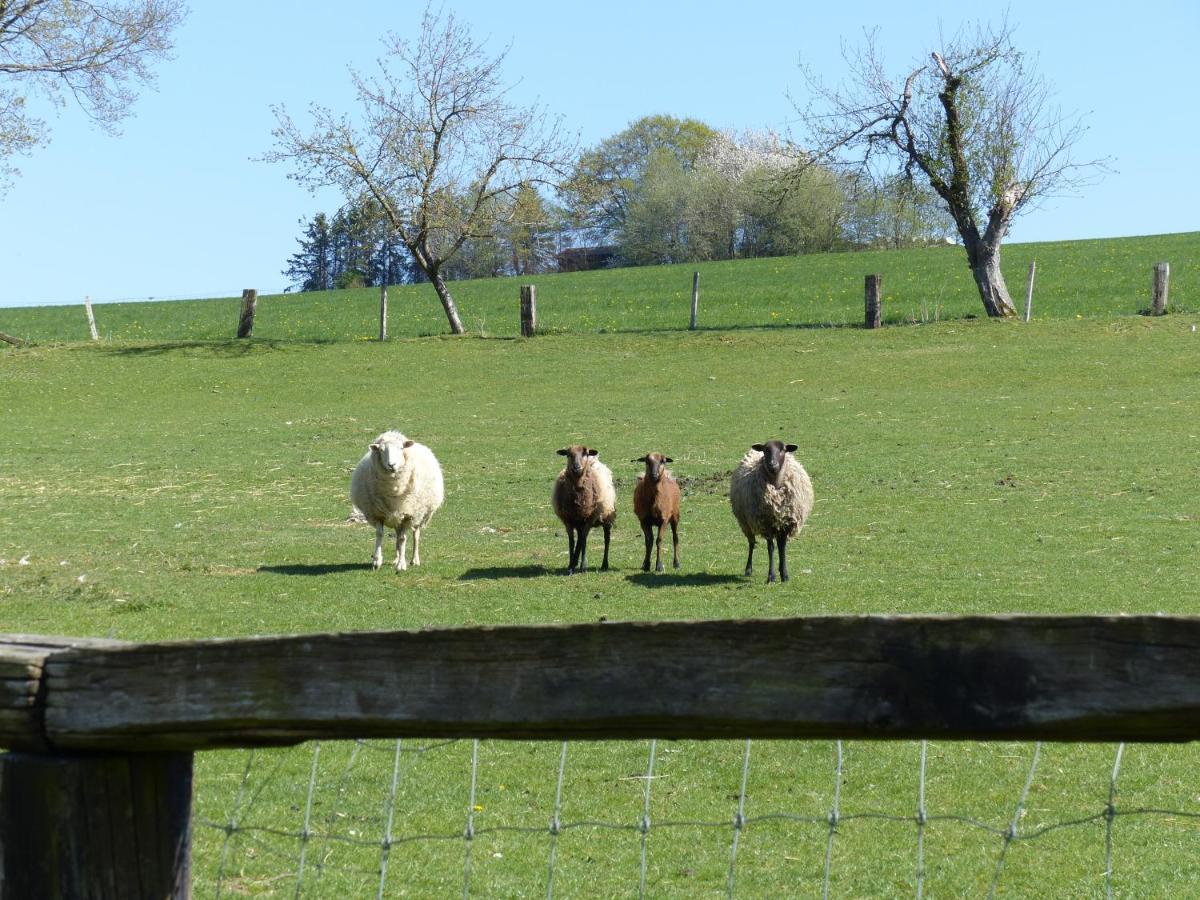 Xavers Ranch Meschede Bagian luar foto